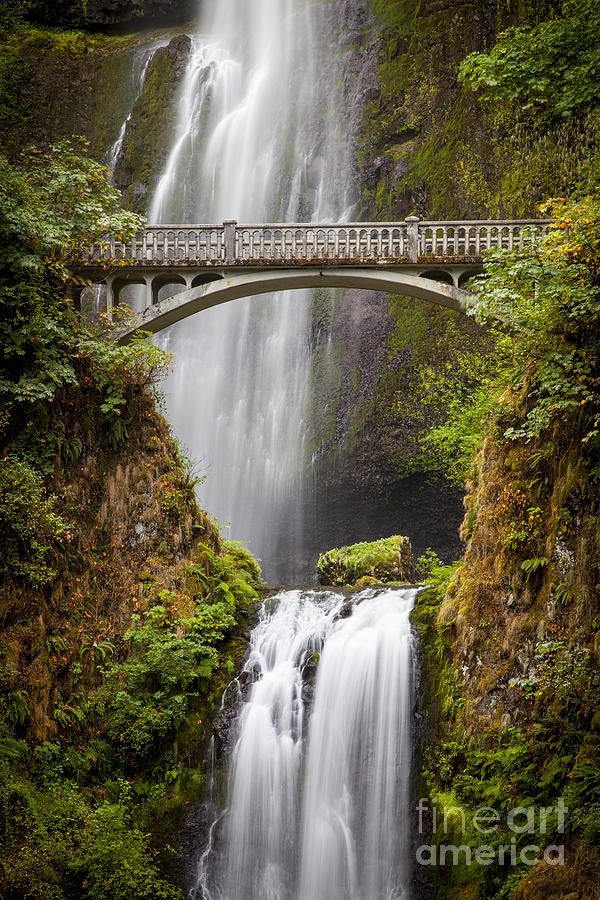 Waterfall Photograph - Multnomah Falls by Brian Jannsen