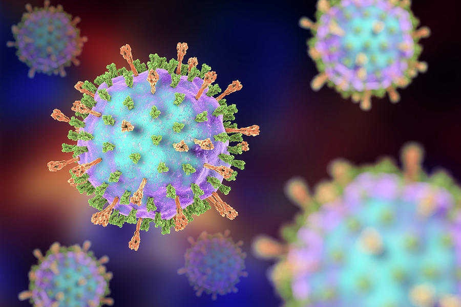 Mumps Virus Photograph By Kateryna Kon Science Photo Library Fine Art America