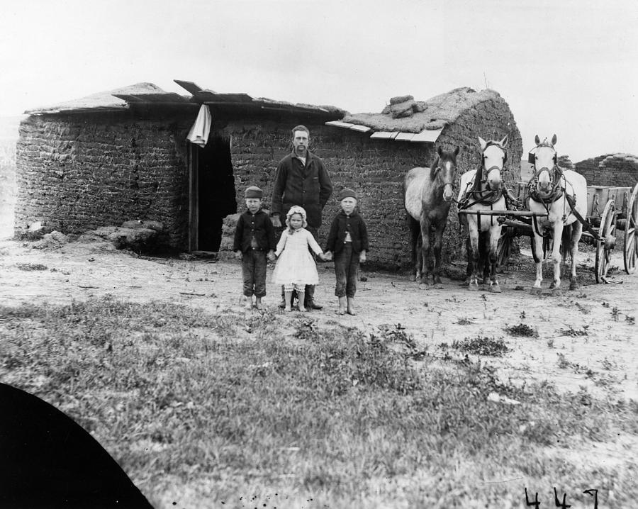 Horse Photograph - Nebraska Settlers, 1887 #4 by Granger