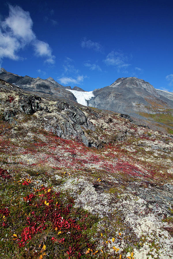 North America USA Alaska Autumn Color Photograph by Terry Eggers - Fine ...