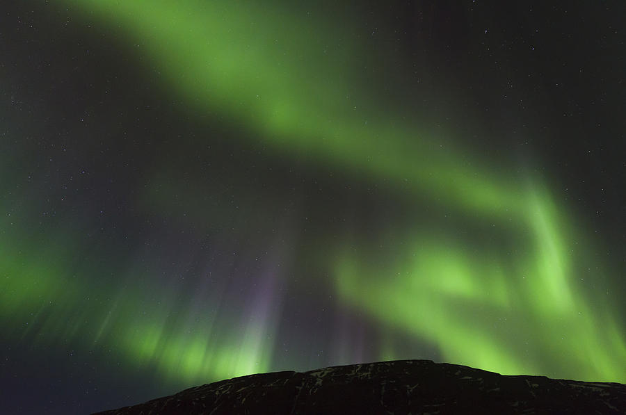 Northern Lights #4 Photograph by John Shaw