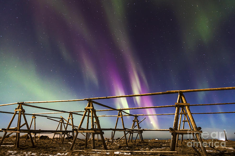 Northern Lights Reykjavik Iceland #4 Photograph by Gunnar Orn Arnason