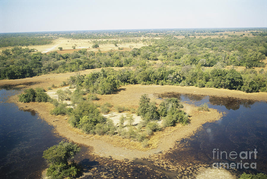 Okavango Delta #4 Photograph by Gregory G. Dimijian, M.D.