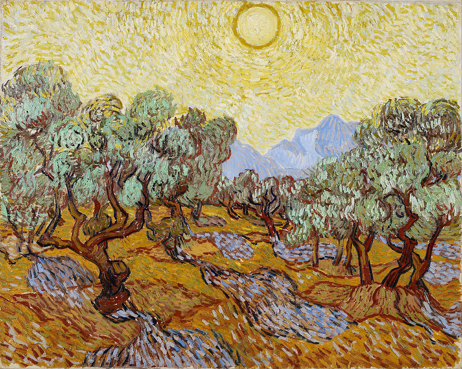 Olive Trees Painting by Vincent Van Gogh