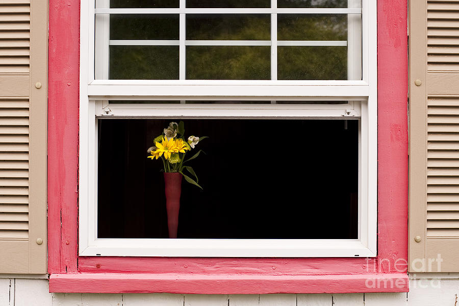 Open Window With Yellow Flower In Vase #2 Photograph by Jim Corwin