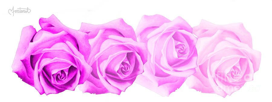 Rose Digital Art - 4 Orchid Roses by Christine Fontenot