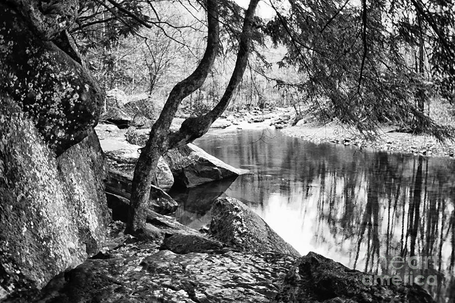 Black And White Photograph - Otter Creek Wilderness #4 by Thomas R Fletcher