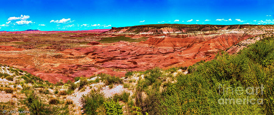 Petrified Forest National Park Photograph - Painted Desert National Park Panorama #3 by Bob and Nadine Johnston