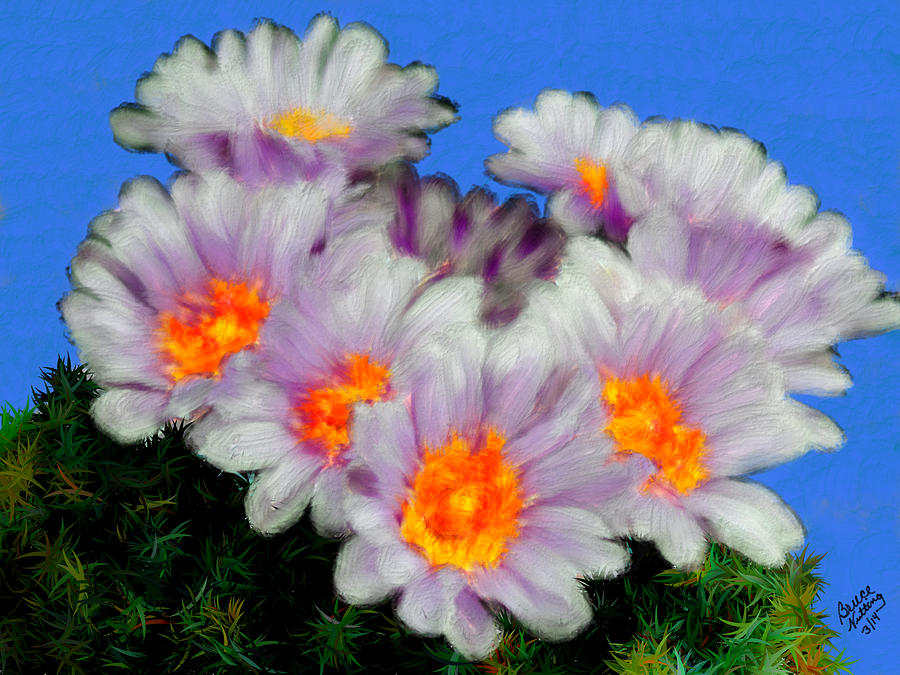 Painterly Cactus Flowers #5 Painting by Bruce Nutting