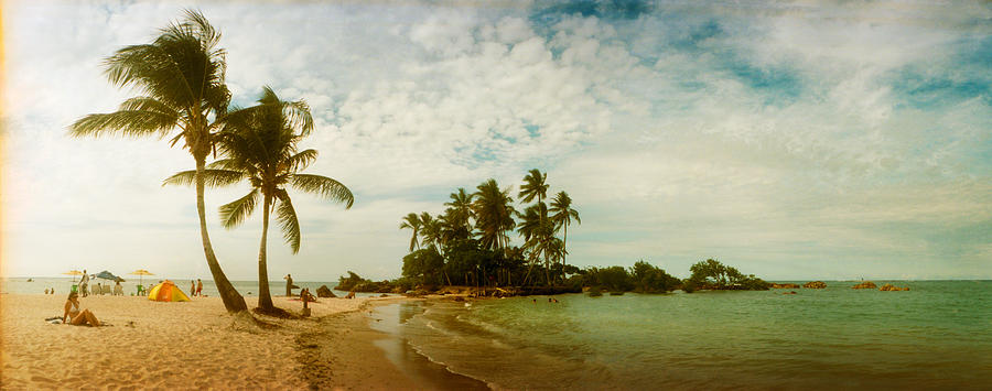Nature Photograph - Palm Trees On The Beach In Morro De Sao #4 by Panoramic Images