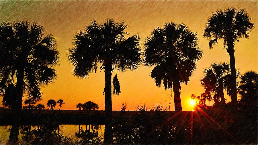 4 Palms Sunset Photograph