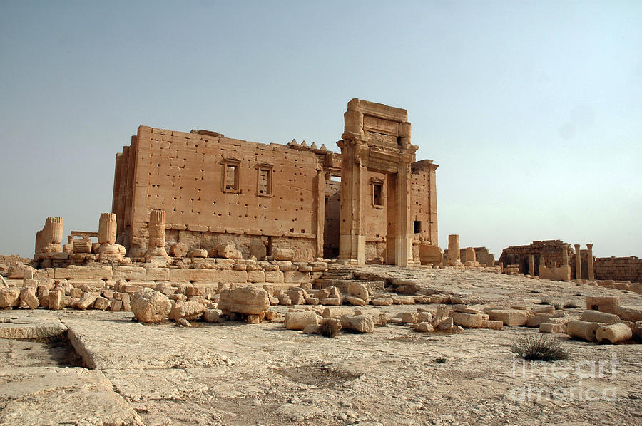 Palmyra, Syria #4 Photograph by Catherine Ursillo
