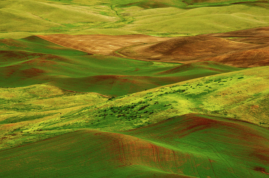 Nature Photograph - Palouse View From Steptoe Butte #4 by Michel Hersen