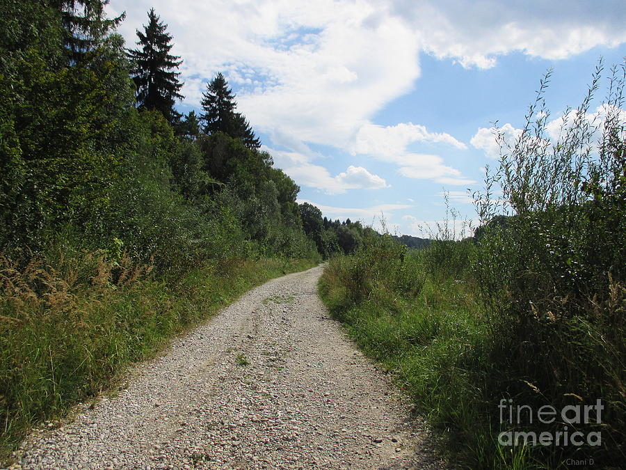 Path near Munich #5 Photograph by Chani Demuijlder