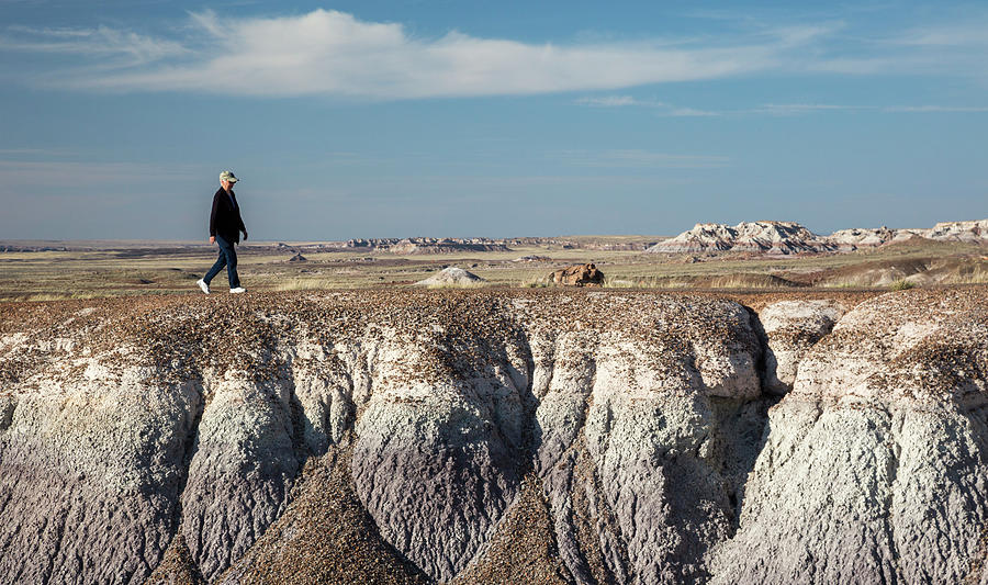 Petrified Forest National Park Photograph - Petrified Forest #4 by Jim West/science Photo Library