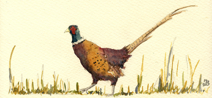 Pheasant Painting - Pheasant #4 by Juan  Bosco