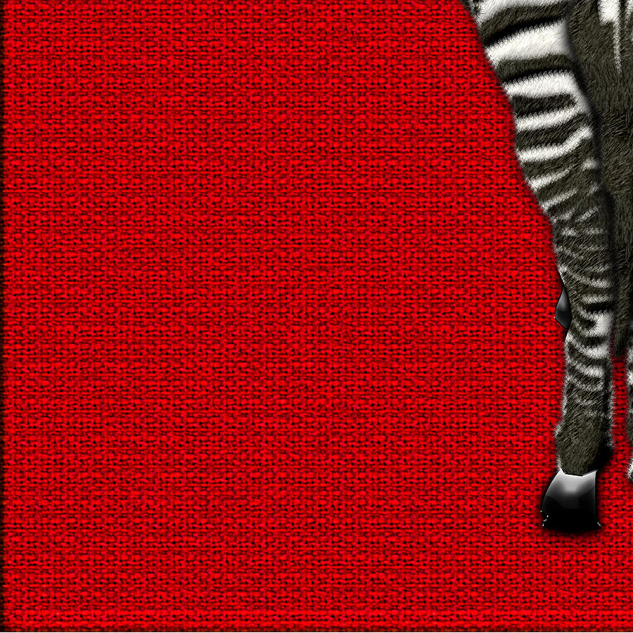 4-Piece Set Zebra Rear View on Red 3-of-4 Digital Art by Serge Averbukh