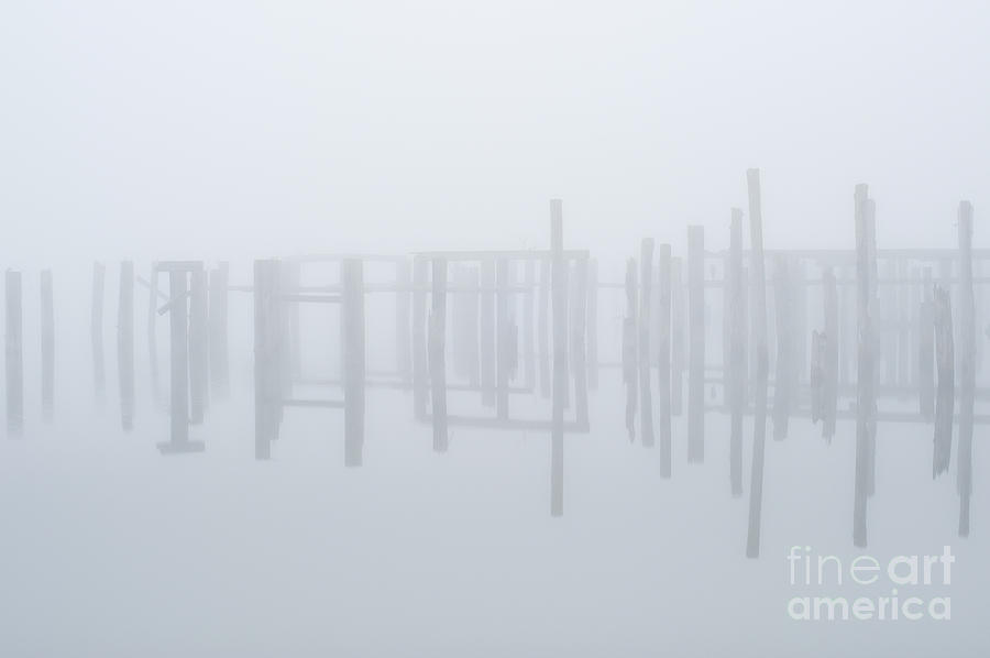 Pilings In Fog Photograph