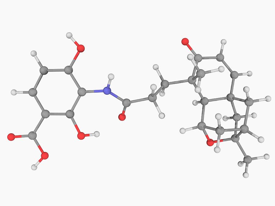 Illustration Photograph - Platensimycin Drug Molecule #4 by Laguna Design/science Photo Library