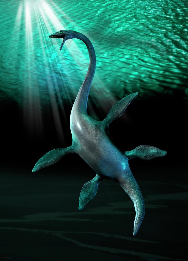 a plesiosaurus