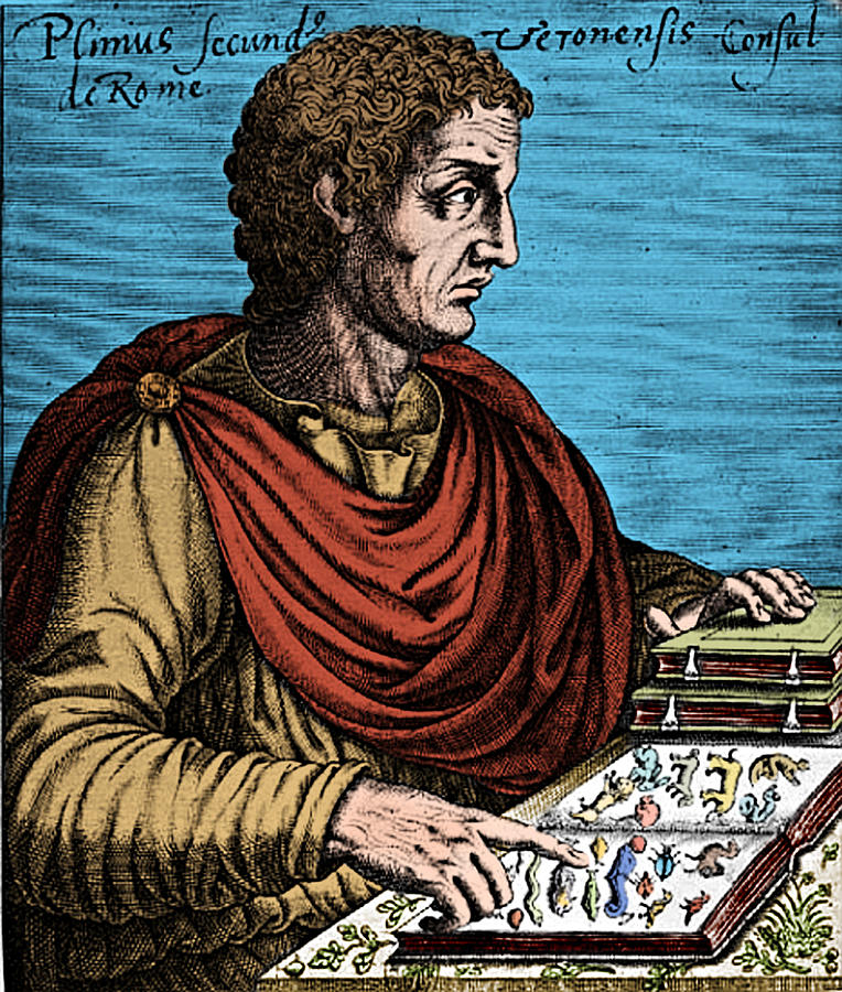 Pliny The Elder, Ancient Roman #4 Photograph by Science Source