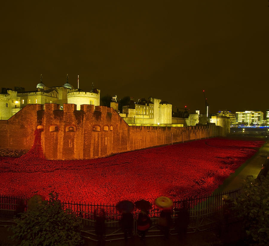 Poppies Tower of London night #4 Photograph by David French