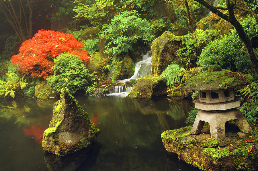 Portland Japanese Garden In Autumn Photograph by Michel Hersen - Pixels