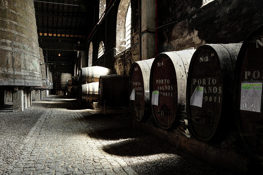 Porto Wine Cellar #4 Photograph by Vuk8691