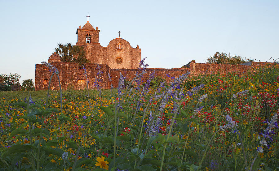Presidio la Bahia 2 by Susan Rovira Presidio la Bahia 2 by Susan Rovira
