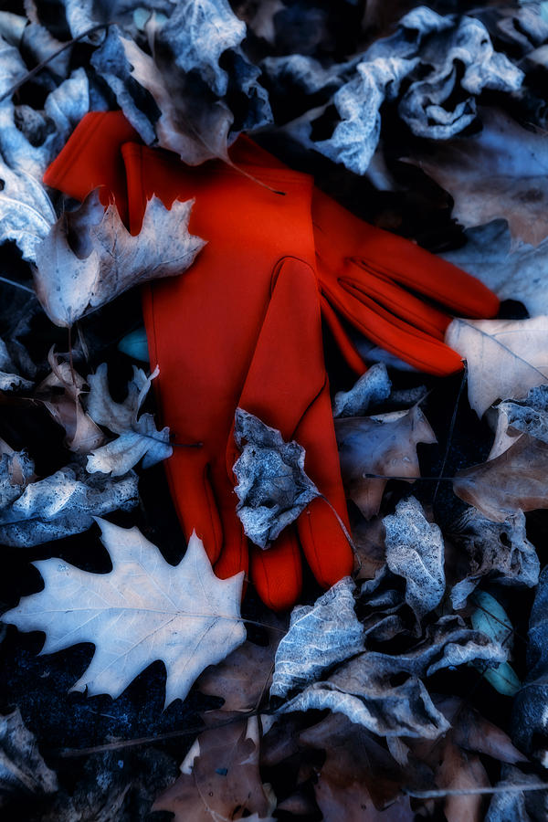 Fall Photograph - Red Gloves #4 by Joana Kruse