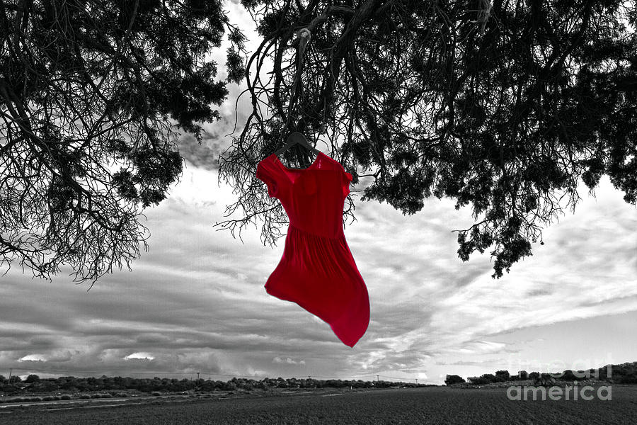 Red Is My Color #4 Photograph by Stelios Kleanthous