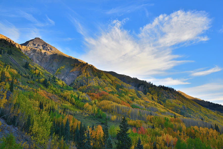 Red Mountain Pass Fall Colors #5 Photograph by Ray Mathis