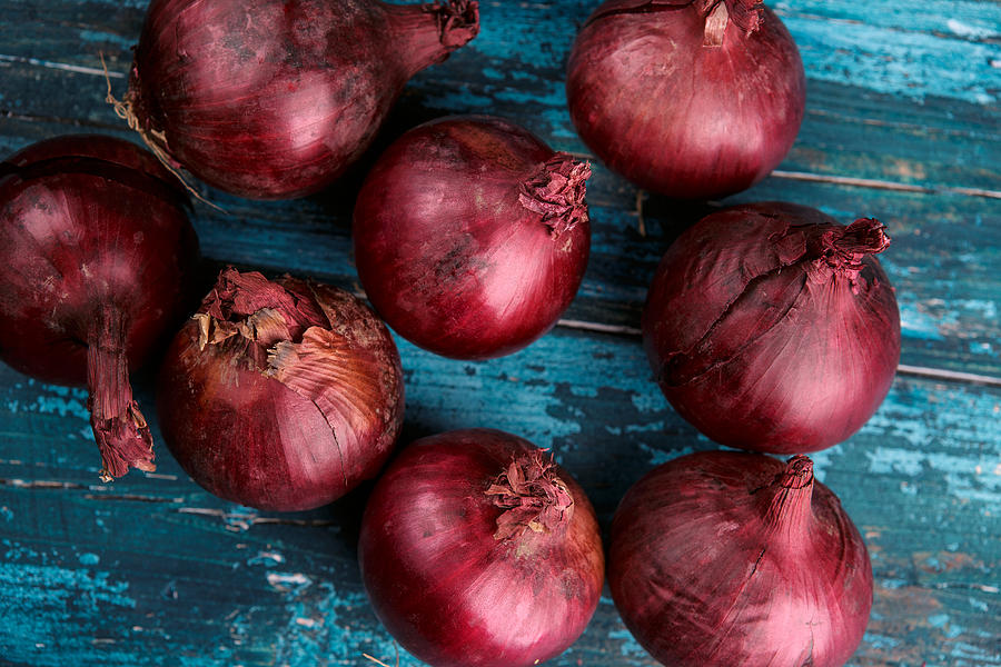 Onion Photograph - Red Onions #4 by Nailia Schwarz