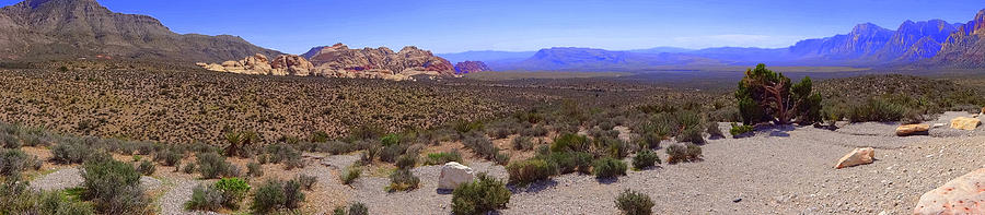 Red Rock Canyon #4 Photograph by Donna Spadola