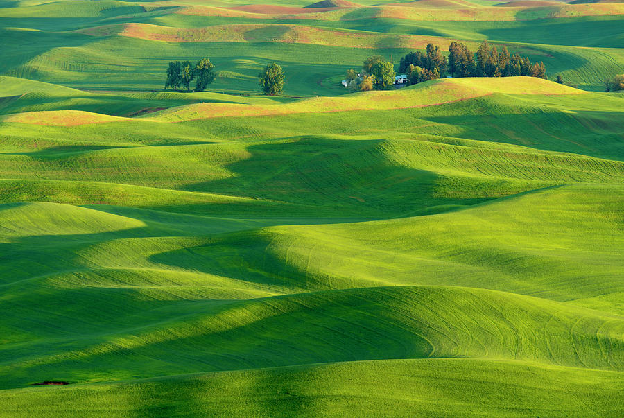 Rich Soil, Called Palouse Loess, Covers Photograph by Michael Melford