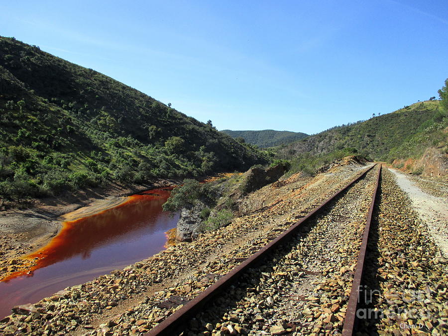 Rio Tinto Abandoned Railway #7 Photograph by Chani Demuijlder