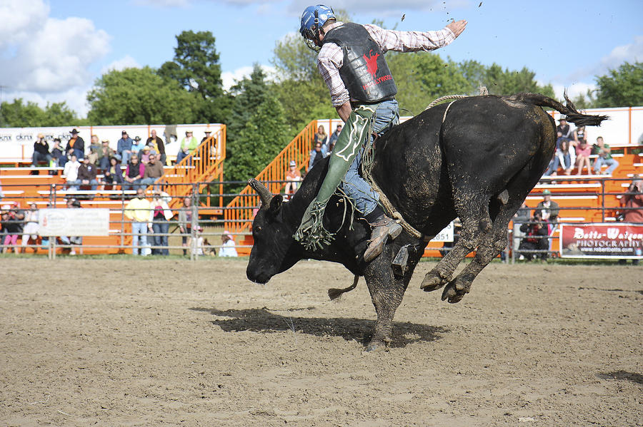 Rodeo #4 Photograph by Nick Mares