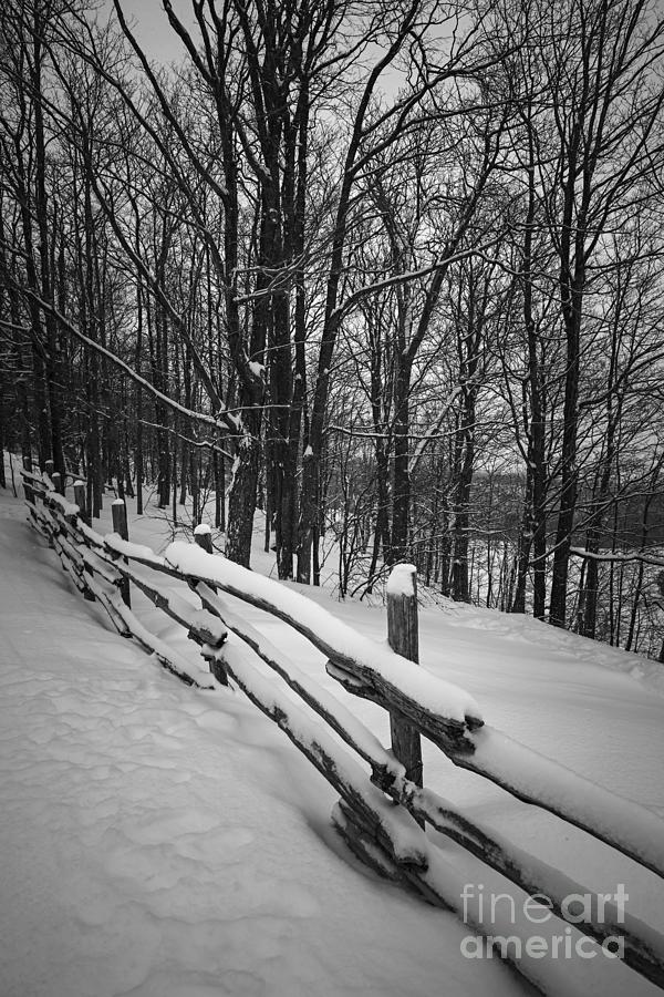 Rural winter scene with fence 1 Photograph by Elena Elisseeva
