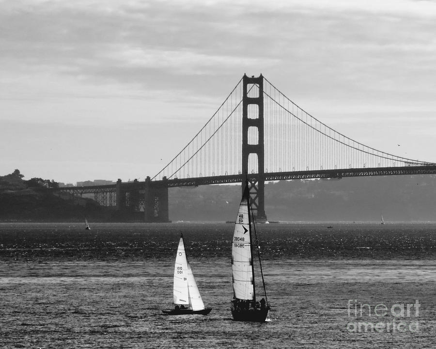 Sailing San Francisco Bay #4 Photograph by Scott Cameron
