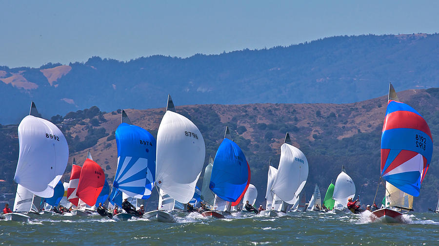 San Francisco Spinnakers #4 Photograph by Steven Lapkin