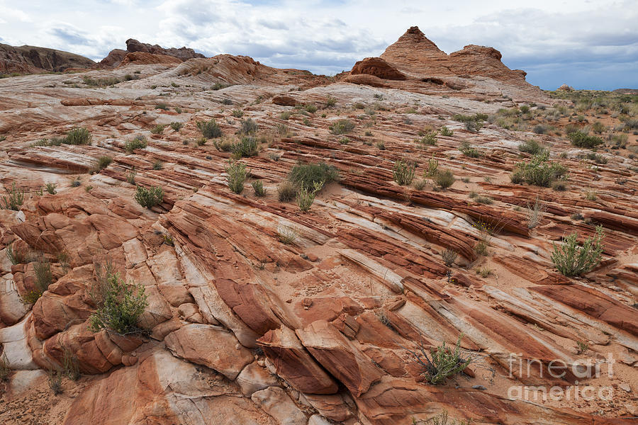Sandstone Formations #4 Photograph by John Shaw