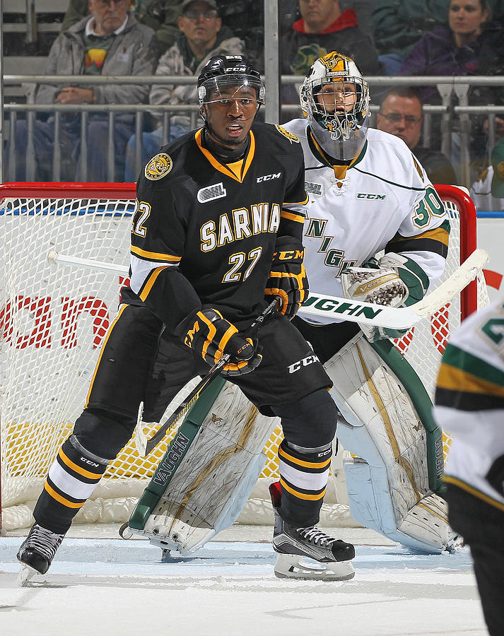 Sarnia Sting v London Knights Photograph by Claus Andersen