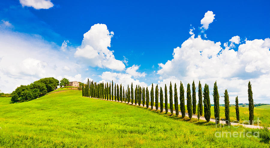 Spring Photograph - Scenic Tuscany #2 by JR Photography