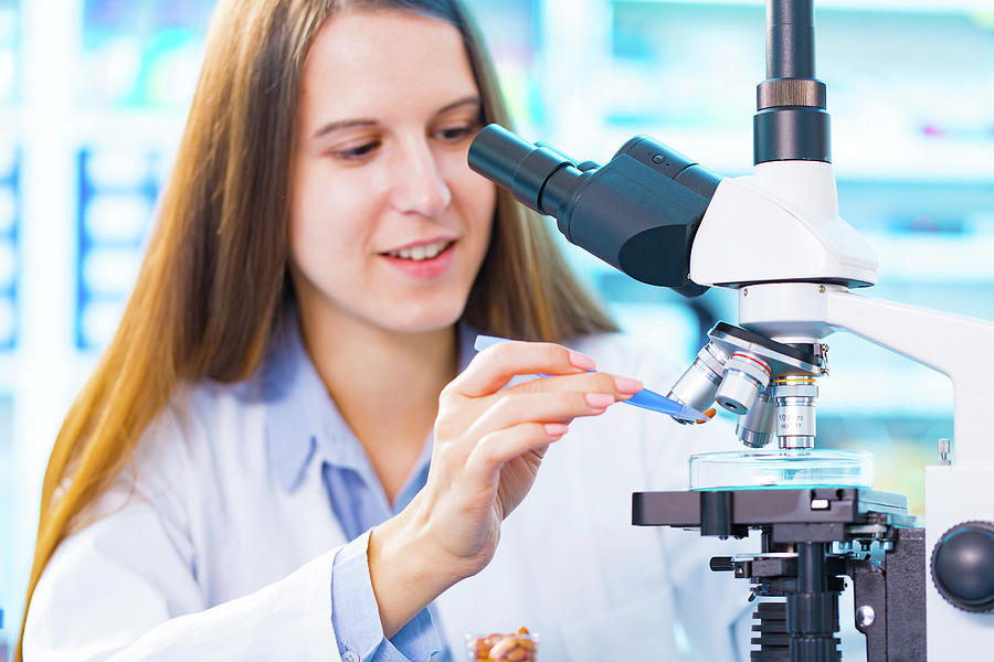 Scientist Using Microscope Photograph by Wladimir Bulgar/science Photo ...