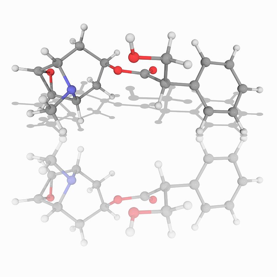 Scopolamine Drug Molecule #4 by Laguna Design/science Photo Library