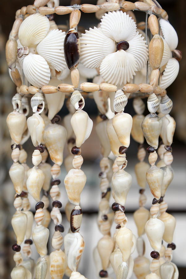 Sea Shell Decorations #4 Photograph by Ali Mohamad - Fine Art America