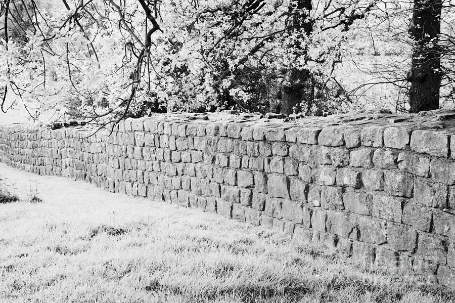 Section Of Hadrians Wall At Low Brunton Northumberland Uk Built By The ...