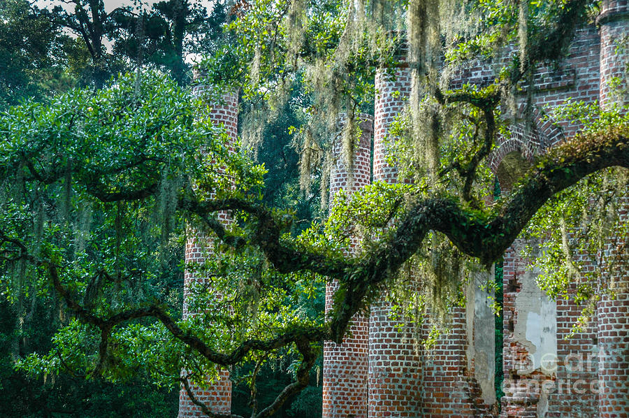 Brick Photograph - Old Sheldon Church - The Deep South by Dale Powell
