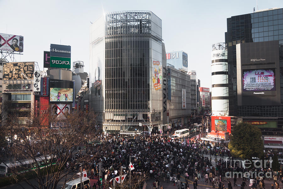 City Photograph - Shibuya Crossing #4 by Ei Katsumata