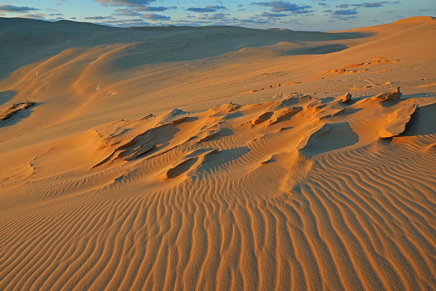 silver lake sand dunes shirts